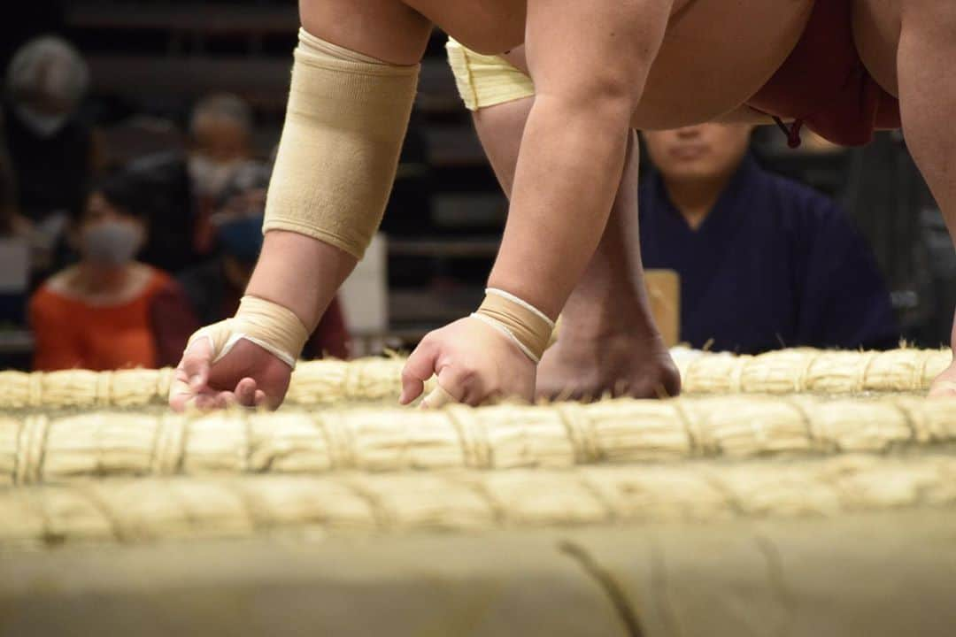 日本相撲協会さんのインスタグラム写真 - (日本相撲協会Instagram)「大相撲十一月場所、3日目 今場所は東京開催！！  全取組終了後には来場者全員にチャンスあり、豪華グッズが当たる⁉︎ お楽しみ抽選会も…！！  @sumokyokai  #大相撲 #sumo #相撲 #力士 #お相撲さん #japanphoto #sumowrestlers #japanculture  #十一月場所 #11月場所 #東京 #11月場所は東京で #今場所もよろしくお願いします」11月10日 22時29分 - sumokyokai