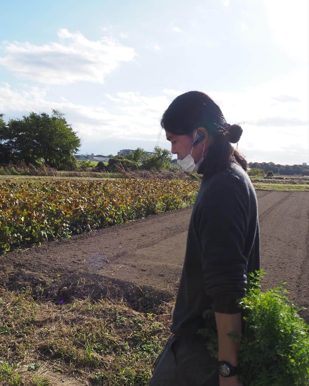 Shogoさんのインスタグラム写真 - (ShogoInstagram)「先日、千葉県我孫子市で農家を営む、自然野菜のらさんの畑を訪ねてきました。  知り合ったのは最近ですが、気さくでニュートラルで柔らかい中野さんの空気感がとても居心地が良く、畑を見せてくれたり、収穫したり、一緒に種撒かせてもらったりの、あっという間の数時間でした。 すんごい満たされた〜。  野菜もなんだか中野さんの空気感がそのまま乗り移ったかのような、生命力はありながらどこか優しそうな雰囲気。  帰って早速、教わった通りにいただいたらバカうまでした。笑  実は、自然野菜のらさんの野菜が購入できるイベントを12月の初旬に開催予定です。  また告知させてください。  ではでは、お楽しみに〜！  中野さんありがとうございました！  @nora_farm」11月10日 22時46分 - shogo_velbed