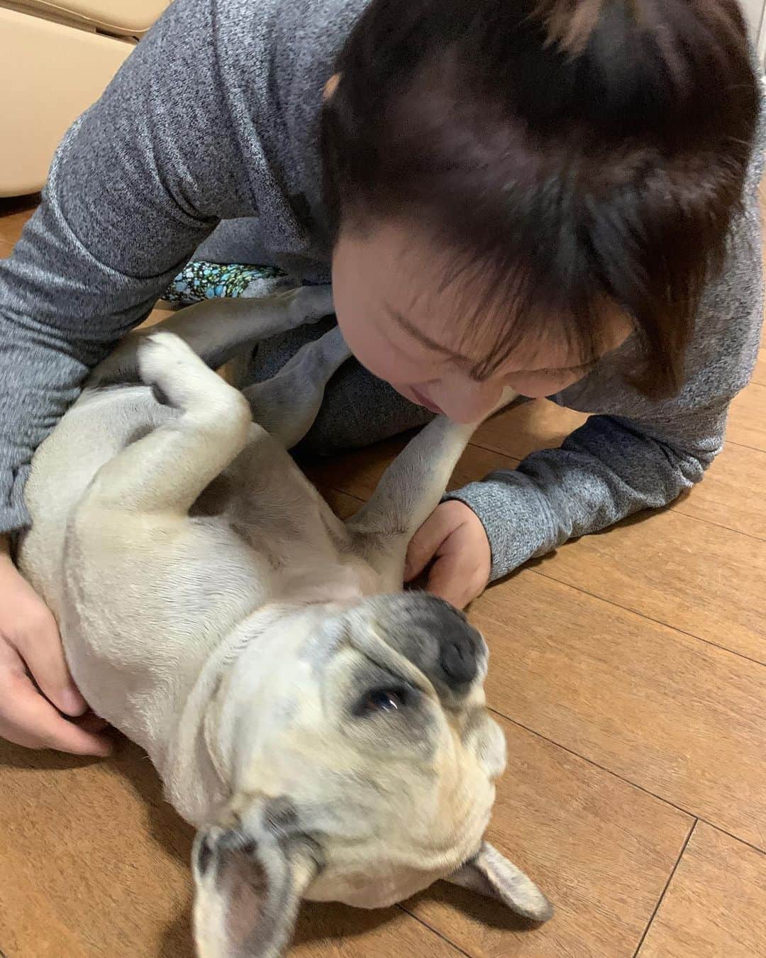 北斗晶さんのインスタグラム写真 - (北斗晶Instagram)「寝てる花ちゃんに、ただいま〜のチューをしようとしたら…  2枚目の写真😓  #花  #愛犬 #ただいまの…チュー」11月10日 23時05分 - hokutoakira_official