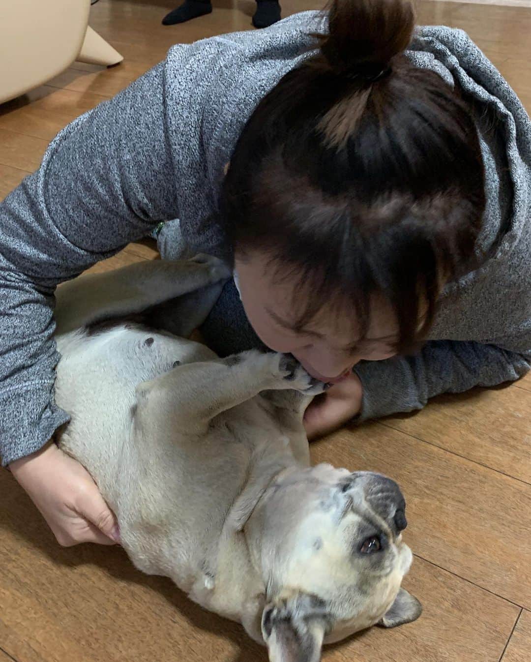 北斗晶さんのインスタグラム写真 - (北斗晶Instagram)「寝てる花ちゃんに、ただいま〜のチューをしようとしたら…  2枚目の写真😓  #花  #愛犬 #ただいまの…チュー」11月10日 23時05分 - hokutoakira_official
