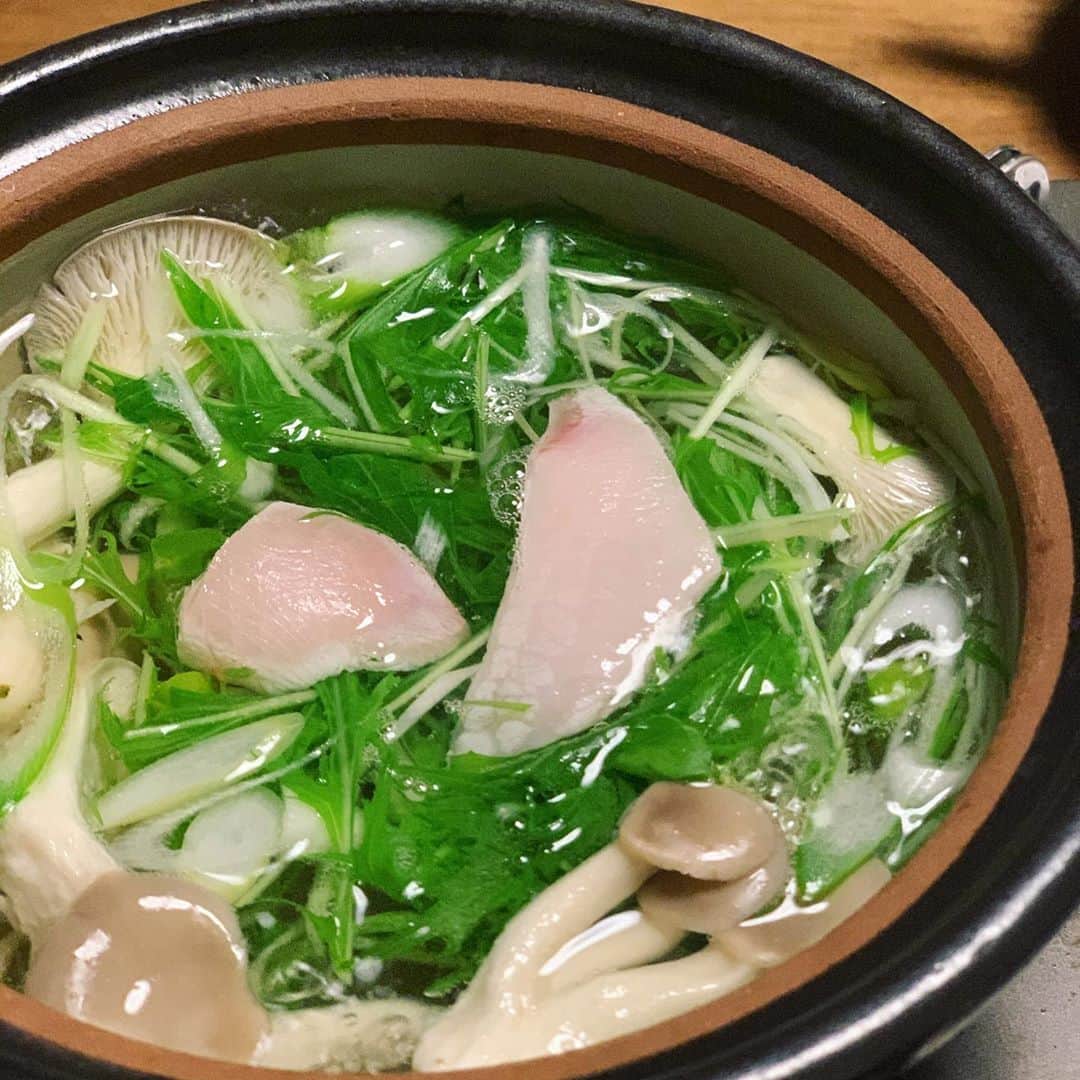 shin -SAKE instructor-さんのインスタグラム写真 - (shin -SAKE instructor-Instagram)「鰤しゃぶ食べたすぎるため。  #ぶりしゃぶ #鰤 #しゃぶしゃぶ #香味野菜 #金沢で食えんかった #リベンジ #そばの芽 #長葱 #水菜 #鍋料理」11月10日 23時14分 - shim_8k