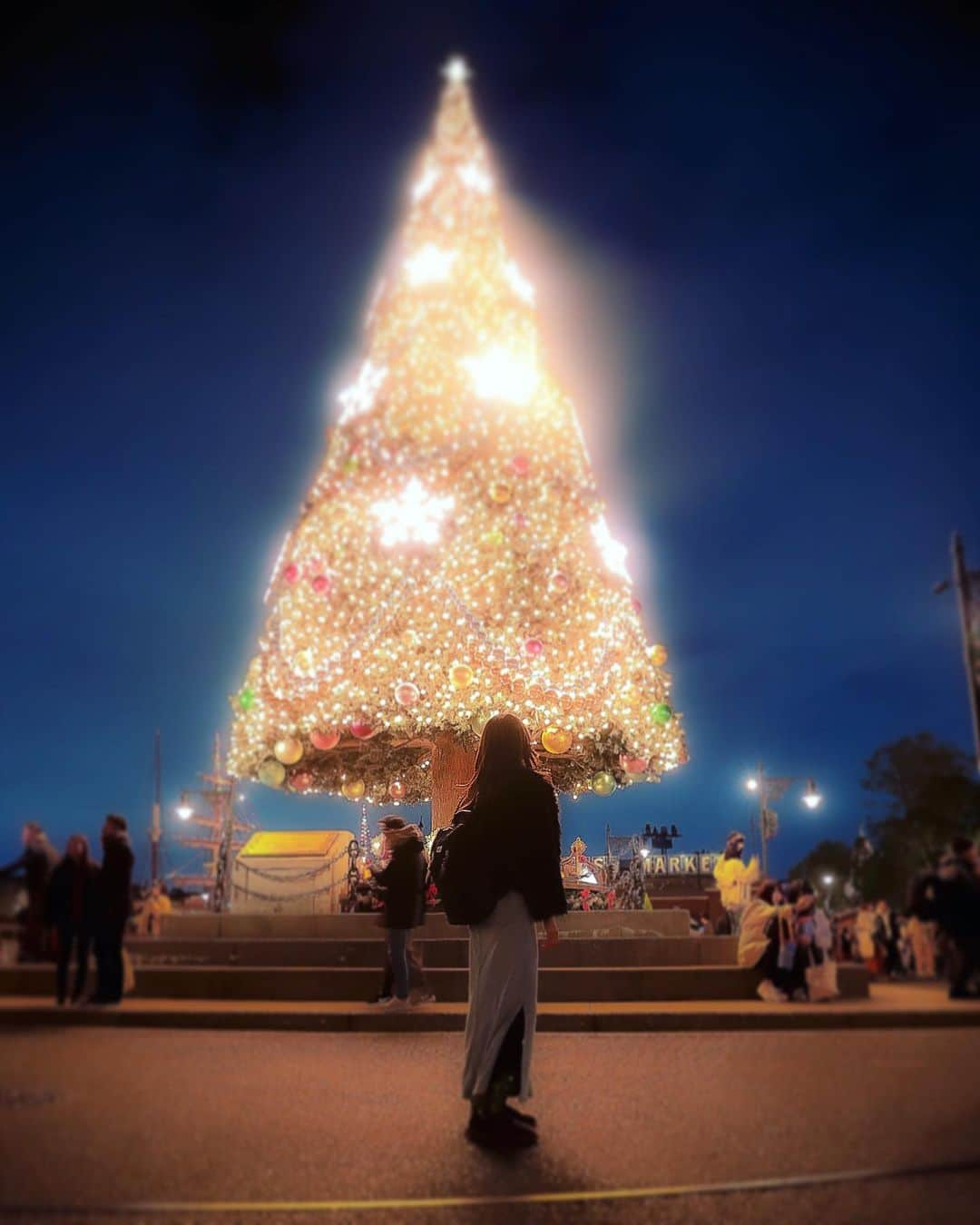 朝風れいさんのインスタグラム写真 - (朝風れいInstagram)「今日からDisneyもクリスマスだって…🎄 ・ ・ ・ 今年は今までに無い感じだから、せめて、家の中にツリー飾ろうかな🎄🥺🎁 ・ ・ ・ ・ #切ない #いつもと違う #disneychristmas #disneychristmas2020 #ディズニークリスマス #ディズニークリスマス2020 #写真は #2019 #tdr #tds #disneysea #disney #sea #東京ディズニーシー #ilovedisney #disneygram#disneyinsta #canon #eos5dmarkiv #eos5dmark4  #ディズニーカメラ隊 #クリスマスツリー」11月10日 23時29分 - rei.wd