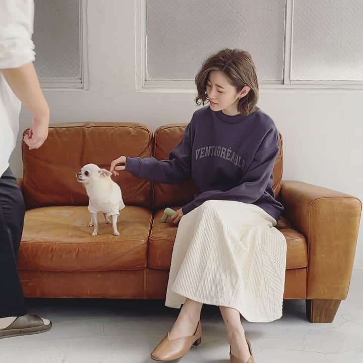 真鈴のインスタグラム：「かわいい💕 #犬#🐕 #ドッグ#かわいい犬服 #ジェリーと撮影#チワワ#だいすき #幸せ#おそろいコーデ #犬好きさんと繋がりたい  @ropepicnic_official」