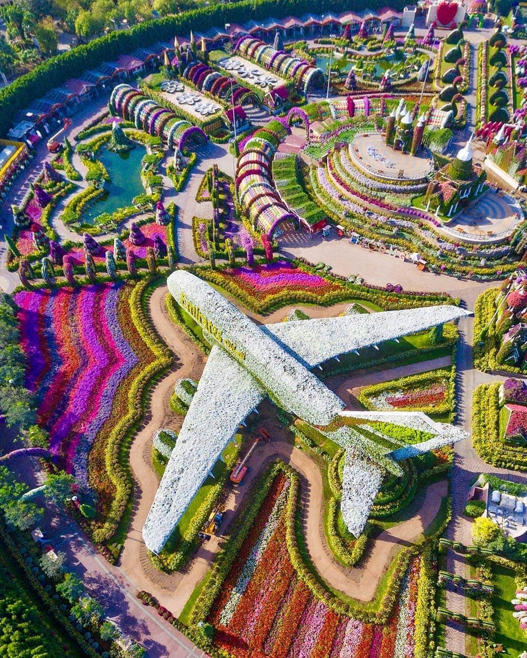 BEAUTIFUL DESTINATIONSさんのインスタグラム写真 - (BEAUTIFUL DESTINATIONSInstagram)「In full bloom 💐 Did you know that the Dubai Miracle Garden is now open? Starting November 1, the largest natural flower garden in the world is back in business and is welcoming visitors yet again. 😍   Take note of these details if you're planning a visit!  𝐎𝐩𝐞𝐧𝐢𝐧𝐠 𝐡𝐨𝐮𝐫𝐬 9:00 am - 9:00 pm on weekdays  9:00 am - 11:00 pm on Fridays, Saturdays, and Public Holidays  𝐓𝐢𝐜𝐤𝐞𝐭𝐬 Dh55 for adults (over 12 years old) Dh40 for children aged 12 years old and below  Have you been here? If not, bookmark this for reference and tag who you want to explore this garden with! ✈️  📸 @lostmagpie 📍 @dubaimiraclegarden, Dubai, United Arab Emirates」11月11日 0時05分 - beautifuldestinations