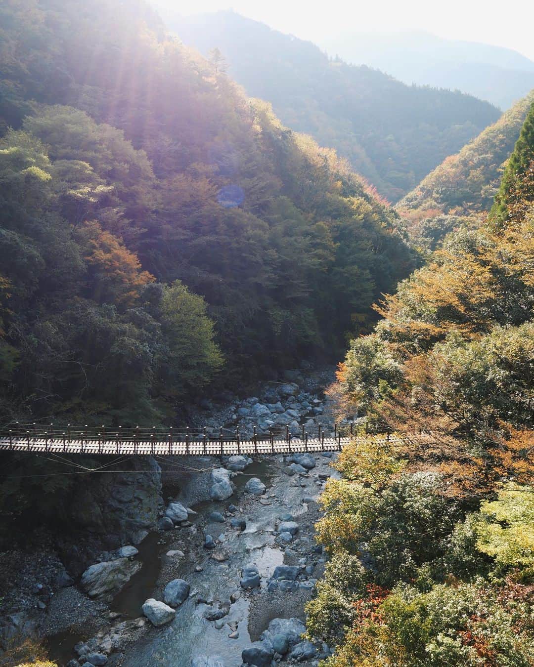 櫻井千尋さんのインスタグラム写真 - (櫻井千尋Instagram)「Spot ✈︎ Kumamoto,Japan.  九州最後の秘境と言われる "五家荘"。 熊本駅から1時間半ほどの場所にあって、 ふらっと行ける〜とは言えない道のりだけど その奥にある紅葉と山々の景色、 移動中の木々から差し込む木漏れ日が ノスタルジックで神秘的な場所でした ☺︎  吊り橋や落差70メートルの滝など(1〜5枚め) 自然の見どころがたくさんあったり、  6〜8枚めは絵画のような赤々しい紅葉が😳🍁 もう少ししたら紅葉の絨毯ができて 更にステキな景色を見れるんだろうな〜☺️  日本の良さを改めて教えてくれた場所🍁 四季がある国に生まれてよかった😌✶⋆  #熊本県 #五家荘 #紅葉 #gototravel #genic_japan #pr #小さくこんちゃ〜」11月11日 0時13分 - chihirosakurai