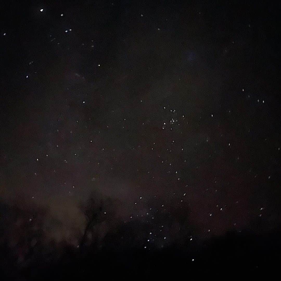 林信行のインスタグラム：「In a forest with just the light of stars, the real power of iPhone 12 Pro Max camera shines! #shotoniPhone12ProMax  Starry night in #Towada  — #DenebStories  #十和田 の #星空浴 by #Deneb  最高だった。 星あかりだけの真っ暗な森。 人間の目、慣れてくるとどんどん星が見えてくるのが凄い。 友達の　#二木愛 さんは人間に備わってる水棲生物としてのモードをonにしてみよう、と訴えかけるけど、人間にはそれとは別にナイトモードが備わってるのだと実感した。 @DenebStories   そしてナイトモードといえば、もう一つ全然関係ないけどiPhone 12 Pro Maxのカメラ性能に驚いた。普通に暗いところではそこまで差が出なかったけれど、本当に暗いところだと、12 Ptoと比べてもハッキリ差が出る。 (通常のProだとノイズがのって暗い部分が赤くなってしまう。いずれどこかに比較写真あげます) これはちょむと感動！  ちなみに三脚忘れたので写真は人の三脚借りた1枚除きすべて手持ちです。」