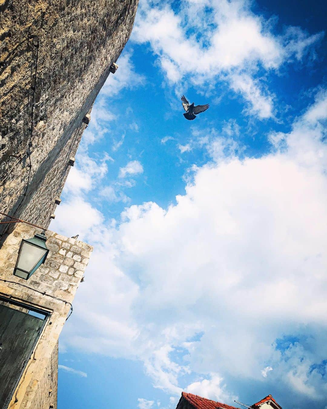 上本昌代のインスタグラム：「Happy 24th birthday 🕊🕊🕊 #クロアチア #dubrovnik #happybirthday #specialday #mydear #24 #sky #yui #birthday #19961111 #人生は旅 #lifeisajourney #鳥 #onlyone」