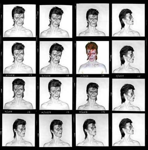 チェイサーのインスタグラム：「Bowie or bust⚡️❤️」