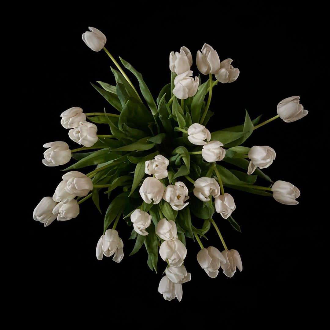 クリスヴァンアッシュさんのインスタグラム写真 - (クリスヴァンアッシュInstagram)「#QUARANTINEFLOWERS / HOME / #TULIPS #krisvanassche #flowers」11月11日 1時47分 - kris_van_assche