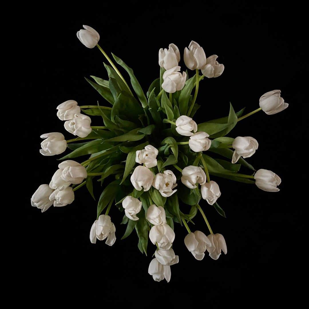 クリスヴァンアッシュのインスタグラム：「#QUARANTINEFLOWERS / HOME / #TULIPS #krisvanassche #flowers」