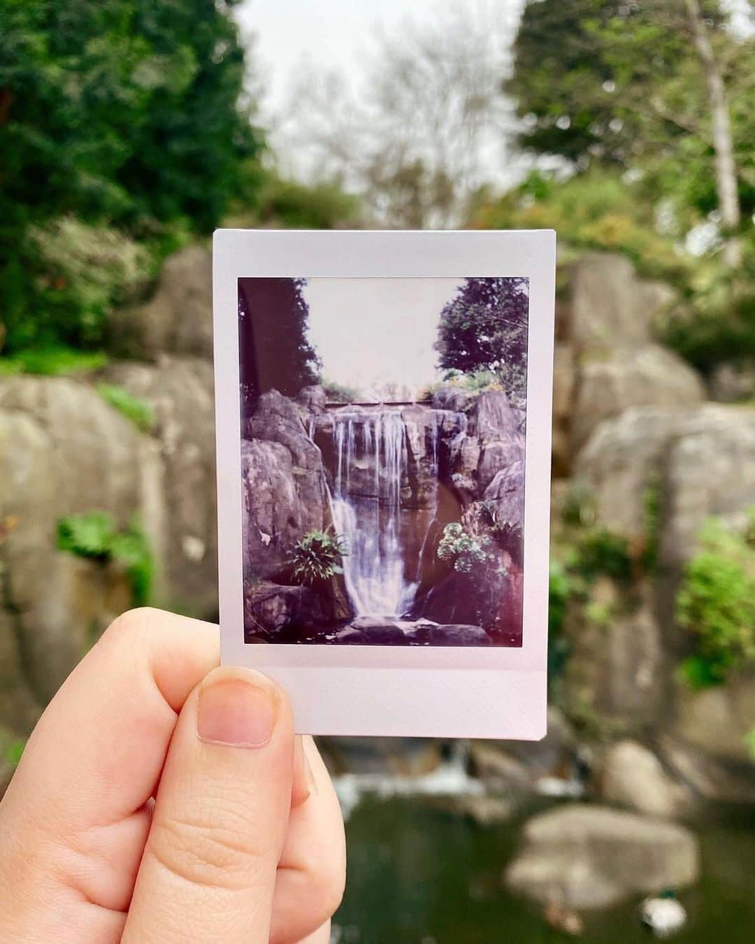 Fujifilm Instax North Americaさんのインスタグラム写真 - (Fujifilm Instax North AmericaInstagram)「Who else has picked up new hobbies in the past few months? We’ve developed a green thumb! Currently obsessing over @_isabae_’s photos💖🌸 Comment below your current fave hobby! 👇⁠⠀ .⁠⠀ .⁠⠀ .⁠⠀ #Give10⁠⠀ #dontjusttakegive⁠⠀ #flowers⁠⠀ #nature」11月11日 1時55分 - fujifilm_instax_northamerica