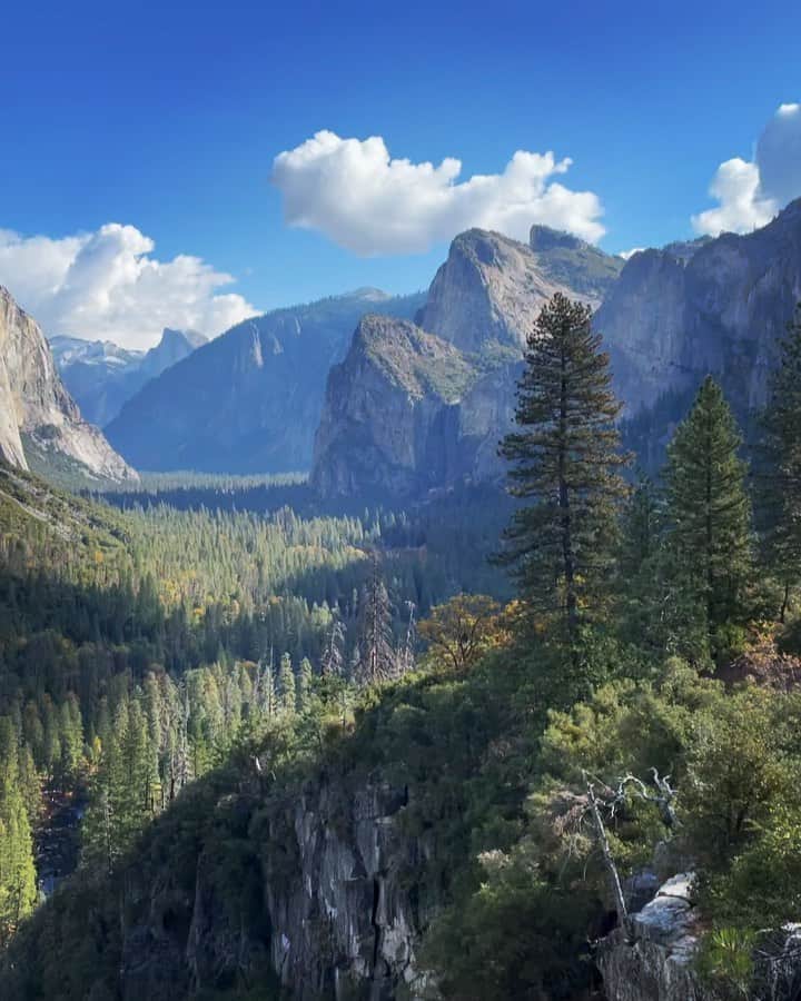 クリス・バーカードのインスタグラム：「Swipe to see the difference 24 hours can make. I’ve never seen such a rapid transition of Fall to Winter in my life. This last weekend in Yosemite was truly a sight to behold, easily 8 inches of snow adorned the park overnight.」