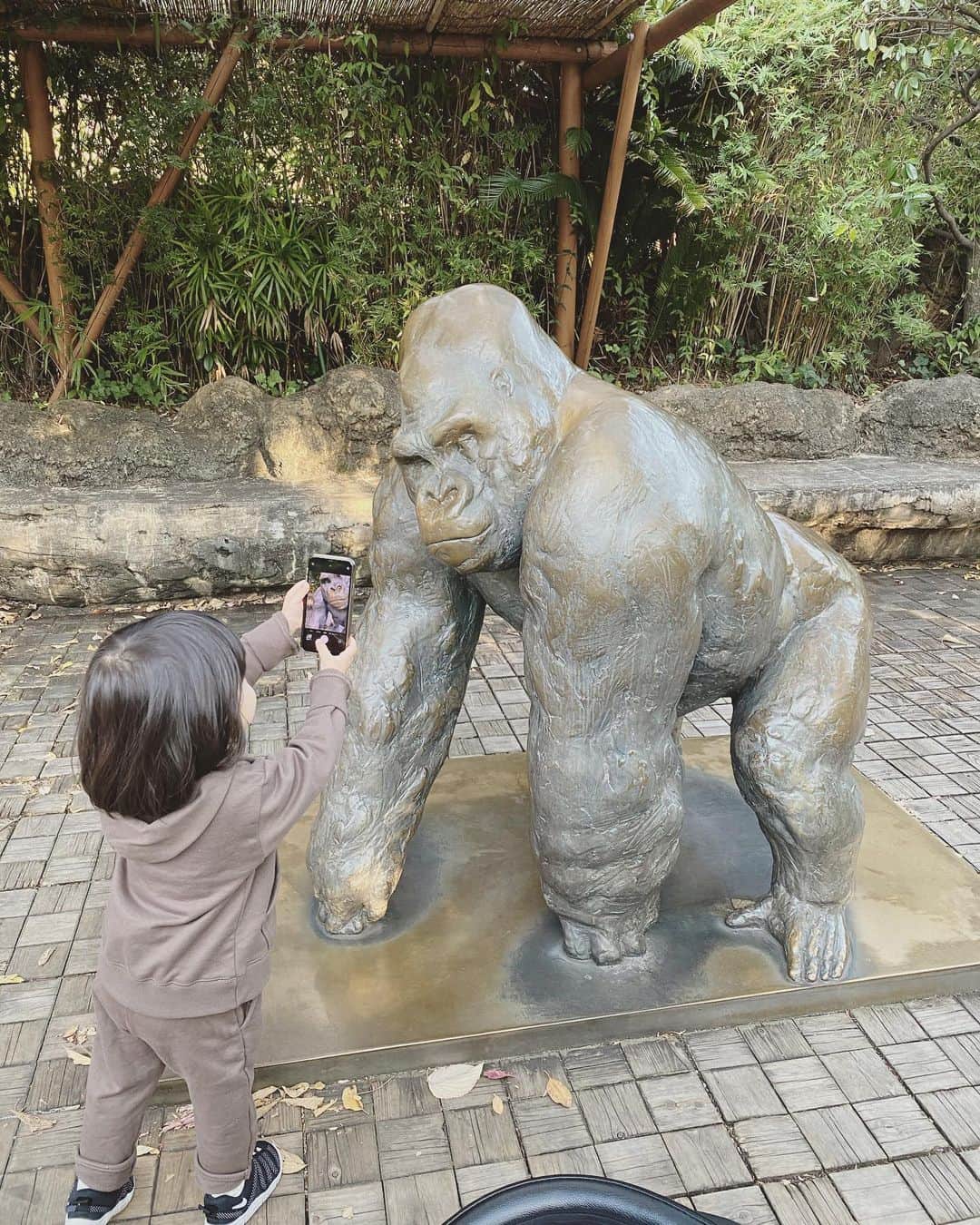 田中理恵さんのインスタグラム写真 - (田中理恵Instagram)「おはようございます☀ 先日、動物園へ行ってきました！ 娘は嬉しくて嬉してずっとテンション高かったです😍‼︎  そして、一番興奮していたのが… なんと…🦍。そう、ゴリラです🦍🤣 しかも…動かない🦍。  写真もしっかり撮れていました🙄🙄 いつも笑いをありがとう😍❤️  帰るのが嫌で最後は座って帰らないとなってましたが…帰りたくない気持ちもわかるよ。笑 パパもママも楽しかったよ😊👌‼︎」11月11日 13時35分 - riiiiiie611