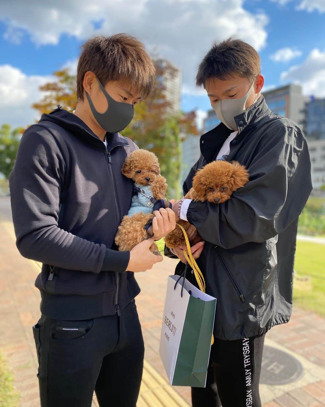 山岡泰輔さんのインスタグラム写真 - (山岡泰輔Instagram)「⁣ ⁣ 由伸と散歩🐶⁣ めちゃくちゃ良い天気やった☀️⁣ ⁣ p.s.⁣ 写真撮るとき絶対この顔あるんだよな😂⁣ ⁣ #犬の散歩 #タイトルおめでとう#最多奪三振 #あおとみかん #寒い季節 #お留守番もいつも一緒 #あおすたぐらむ」11月11日 12時13分 - yamaokataisuke__official