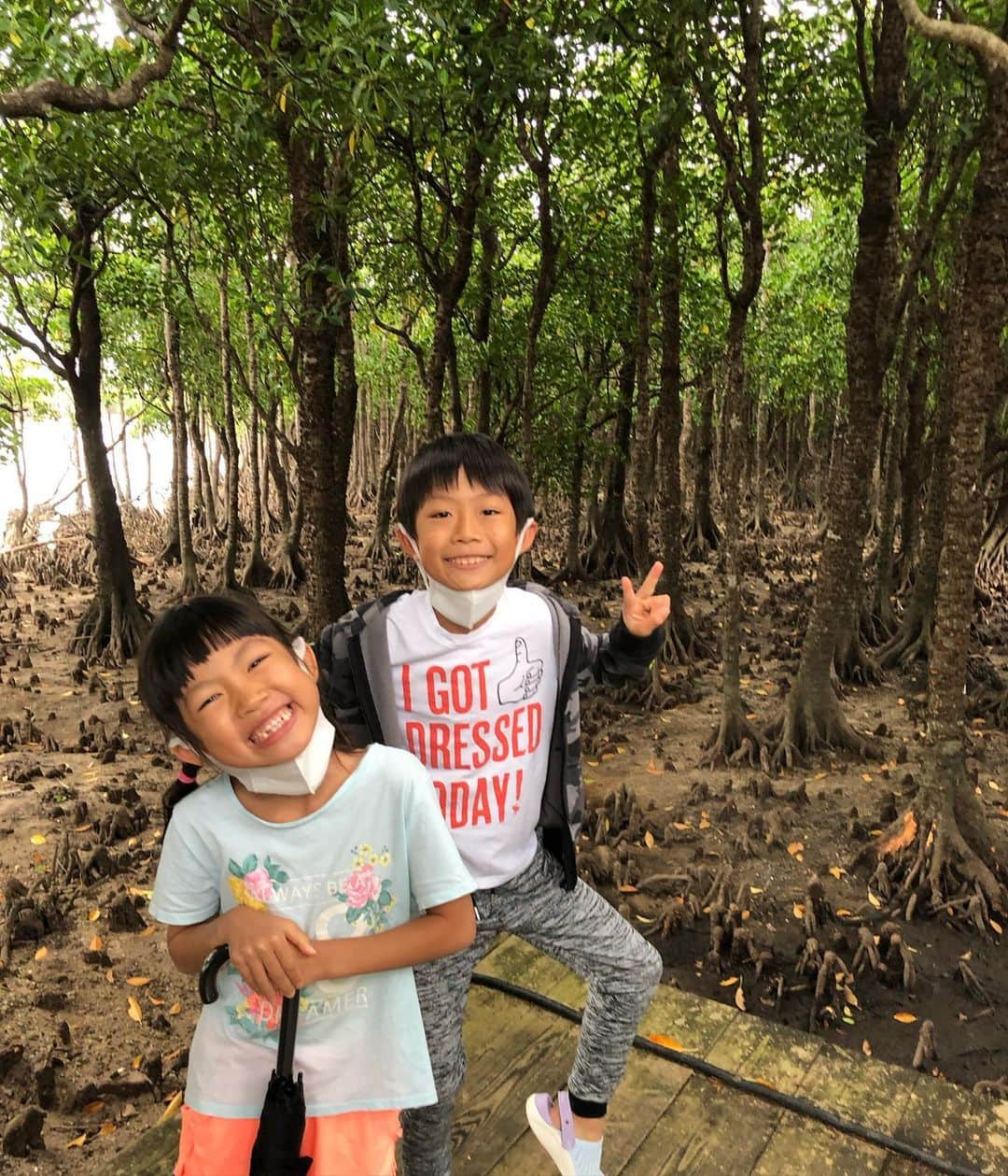 甘糟記子さんのインスタグラム写真 - (甘糟記子Instagram)「シーサー作りの帰りに、やいま村にも寄り道( ^ω^ )  昔のお家を見たり、リスザルを見たり、マングローブを見たり。  マングローブを見ながら散歩していた道が、まるでトトロの世界みたいで、歩いてるだけなのになんだかワクワクしてしまった(๑>◡<๑)  最後に、冠ワシも初めて見れたし、楽しい寄り道になりました\(//∇//)\  #甘糟旅行石垣島#甘糟旅行#石垣島#沖縄#家族旅行#秋休み#やいま村#リスザル#冠ワシ#マングローブ#トトロの世界#気持ちいい#癒し」11月11日 12時14分 - norihey924