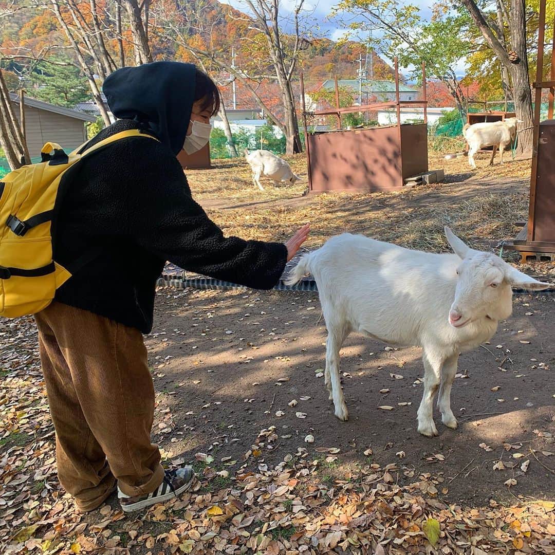 松本千夏さんのインスタグラム写真 - (松本千夏Instagram)「やばいちょー癒されてる」11月11日 12時23分 - chiii8mikan