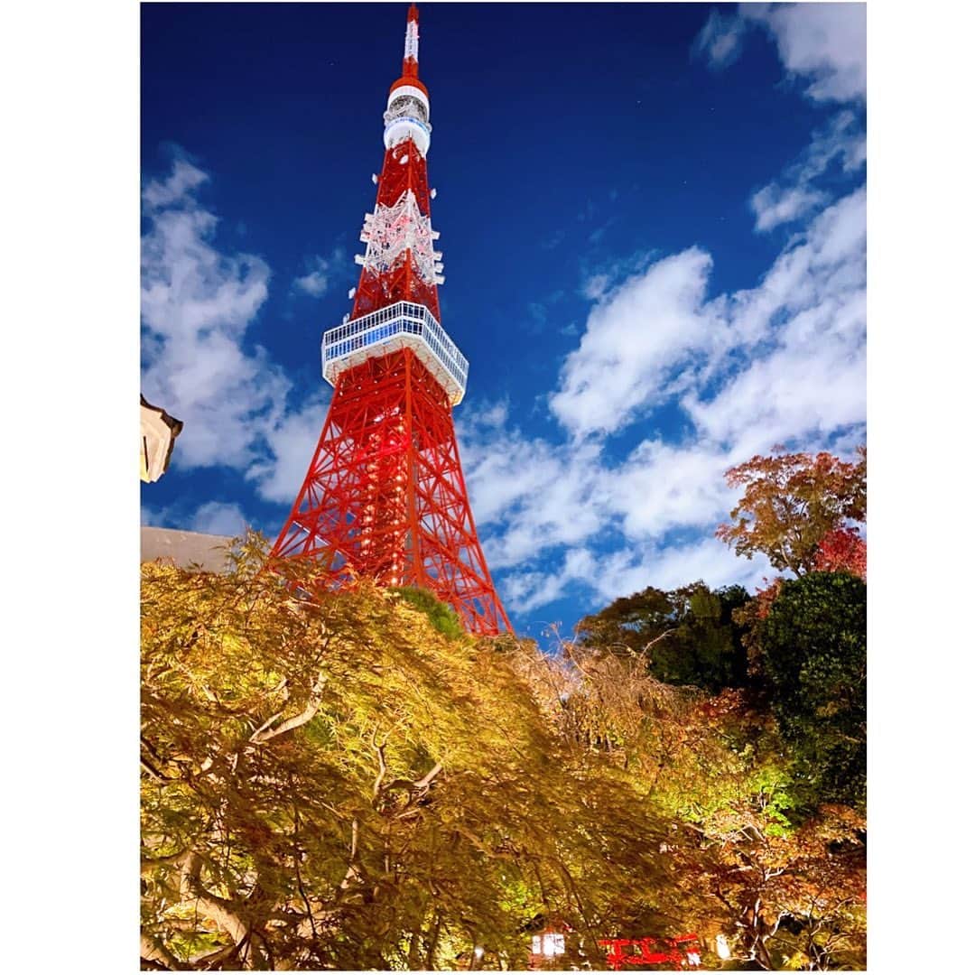橘沙奈さんのインスタグラム写真 - (橘沙奈Instagram)「* あの日の東京タワー、 点灯式があったから 一時的にライト消えてたみたい🗼 * その後はクリスマスカラーになってたよ🎄✨ 私はその間秋の味覚を楽しんでました🤤 * * * * * * * * * * * * * #東京タワー #東京タワーが見える店 #紅葉 #イルミネーション #tokyo #tokyotower #🗼 #🍁」11月11日 12時48分 - an.an.0706
