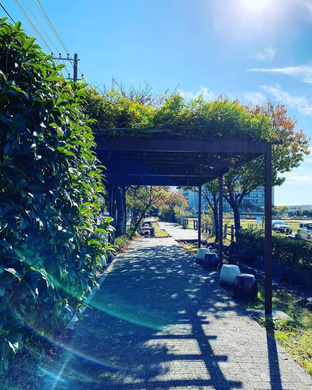海老名市さんのインスタグラム写真 - (海老名市Instagram)「【秋のさんぽ】﻿  水と花と緑のこみち。秋の日差しが気持ちのいいお散歩みちです。﻿ ﻿ #かなかまとなりっぷ ﻿ #好きです海老名 ﻿ #住みたい住み続けたいまち海老名 ﻿ #海老名市 ﻿ #水と花と緑のこみち﻿ #秋﻿ #笑顔 ﻿ #Ebina」11月11日 12時56分 - ebina_official