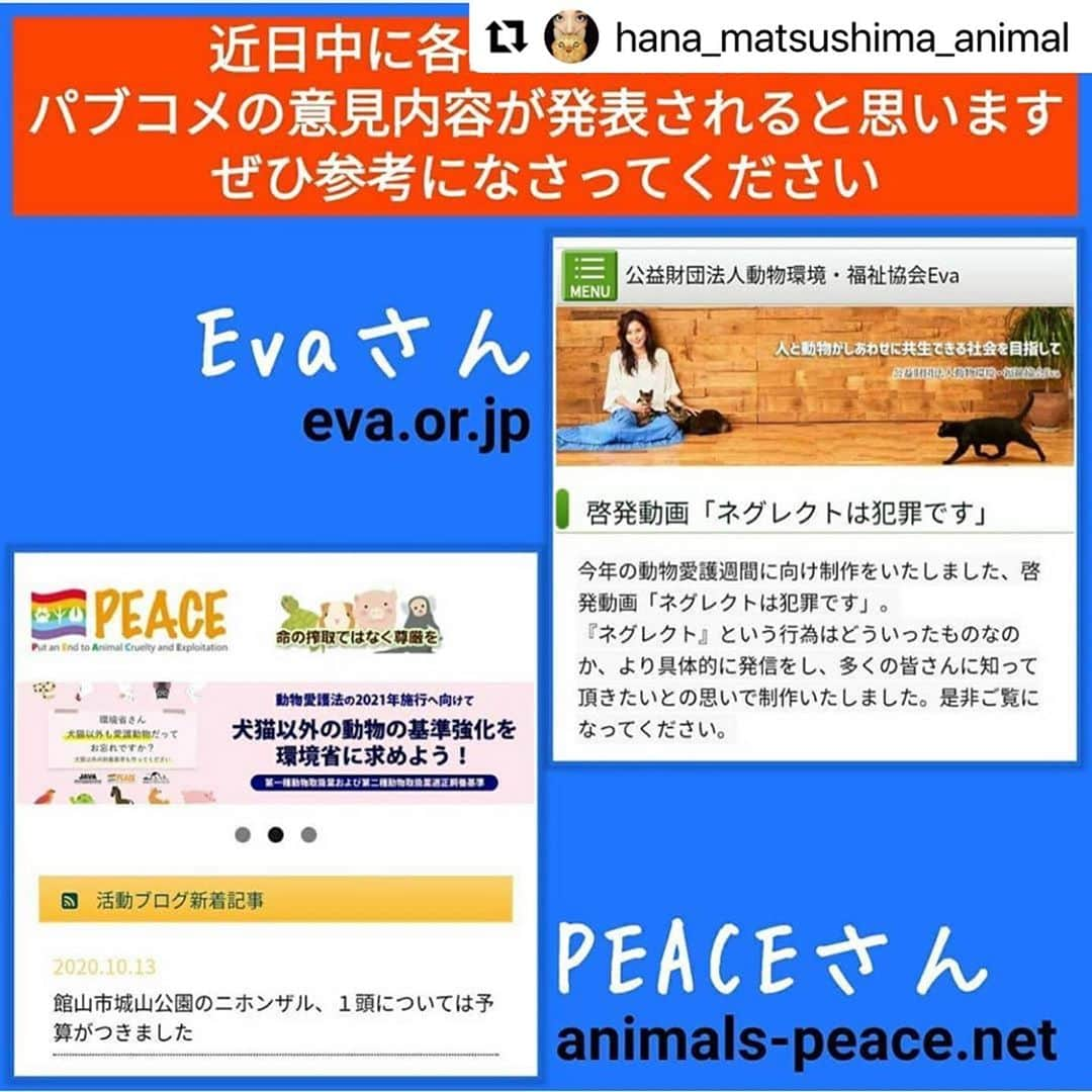 二階堂ふみさんのインスタグラム写真 - (二階堂ふみInstagram)「数値規制パブリックコメント、1週間切りました。 @vivace_f さん @hana_matsushima_animal   いつも情報を、ありがとうございます！  #Repost @hana_matsushima_animal with @make_repost ・・・ : 〝数値規制〟のパブリックコメントが 始まっています。 . 数値規制って何なのか？ 何のためにやっているのか？ これが、動物のための数値規制にならないと 何がいけないのか？ . もう皆さんにはわかって頂いていると思います。 狭いケージの中に何年間も閉じ込められて、 まるで子犬子猫を産ませる機械のように扱われる動物、その大量生産された結果として多頭飼育崩壊、遺棄や持込みなどの殺処分。 . もうこんな日本辞めませんか？ そのためには思っているだけでは 何も変わりません。 私たちの思いや声を環境省に 届けなくてはいけません。 . 皆さんにはこの数ヶ月… ハガキやメール、 嘆願書と色々なことをお願いしました。 大変申し訳ありませんが… 最後に正直少し面倒かもしれませんが🙏 パブリックコメント(意見公募)にご協力下さい🙏🐕🐈 . パブリックコメント、通称パブコメで数値規制に関する皆さんからの意見や情報を募ります。 . ペット業界も… 動物よりではない数値規制にするために 猛反発しています。 最後に大どんでん返しにならないために… 皆さんにパブコメに最後の力を注いで 頂くことをお願いします🙏🙏🙏 11月17日必着‼️ . . #花アニマル #数値規制 #動物のための数値規制を  #数値規制パブリックコメント #パブリックコメント募集中 #私にできること #自分にできること #生体販売反対 #環境省 #動物環境福祉協会eva  #ラベンダーリボン . . #Repost @vivace_f with @make_repost ・・・ ｢数値規制｣ のパブリックコメントが16日にスタートしました。 . 何度か書いてきた私でも戸惑うパブリックコメント😵 官公庁特有の複雑なホームページに、ややこしい文章で書かれた応募要項。 今回初めてパブコメに挑戦される方のなかには、途方に暮れていたり、間違った書き方で進めていらっしゃるかもしれません💧 . せっかく一生懸命書いたパブコメが、環境省から ｢対象外｣ の烙印を押されないように、決められたルールに則ってパブコメに参加しましょう✊🏻 . 前回のパブコメは、FAXやメール、レポート用紙でも提出OKでした。 しかし今回は、電子窓口の ｢意見提出フォーム｣ か、郵送用の専用用紙 ｢意見提出様式｣ といった、２つの提出方法のみとなっております。 私の場合、１枚の用紙では書き足りないので、複数枚提出することになりそうです✍🏻 . 🔴「セブンイレブン｣ のマルチコピーから、パブコメ専用用紙の ｢意見提出様式｣ を出力できます。 予約番号は毎日変わりますので、@vivace_f のプロフィール欄をご確認ください。 11月15日で配信終了させていただきます。 . #私たちにできること #パブリックコメント #パブコメ #世界基準の数値規制 #動物のための数値規制を #環境省 #数値規制 #嘆願書 #ペットショップに行く前に #里親になろう #保護犬 #いぬ #愛犬  #保護猫 #ねこ #愛猫  #いぬ部 #犬のいる生活 #ねこ部 #猫のいる生活 #保険クリニックの日2020」11月11日 6時46分 - fumi_nikaido