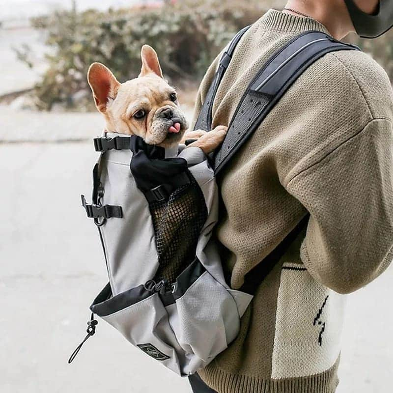 French Bulldogさんのインスタグラム写真 - (French BulldogInstagram)「Best French Bulldog Carriers 🦄🦄🦄 Exclusive in @frenchie.world shop 🛍🛍🛍 👉 LINK IN BIO 🔝 . . . . . #frenchie #frenchies #französischebulldogge #frenchbulldog #frenchbulldogs #dog #dogsofinstagram #frenchieworld #bully #bulldog #bulldogfrances #フレンチブルドッグ #フレンチブルドッグ #フレブル #ワンコ #frenchiesgram #frenchbulldogsofinstagram #ilovemyfrenchie #batpig #buhi #squishyfacecrewbulldog」11月11日 6時48分 - frenchie.world