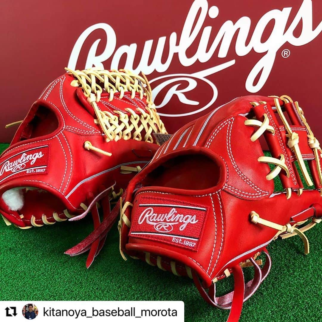 Rawlings Japanさんのインスタグラム写真 - (Rawlings JapanInstagram)「#Repost @kitanoya_baseball_morota with @make_repost ・・・ ・﻿ ﻿ 【ローリングスグラブ】﻿ ﻿ ﻿ ローリングスの硬式グラブが入荷しましたー💡﻿ ﻿ ﻿ ローリングスファンの方、大変お待たせしました🙇🏻🙇🏻﻿ ﻿ ﻿ 今まで当店では、ローリングスの硬式グラブはなかったのですが、この度当店は【RGGC】、いわゆる特約店てきなやつで、取扱いできる商品が増えました😆👍﻿ ﻿ ﻿ 硬式だけでなく、軟式なんかでも取扱いできる商品が増えます😆✋️﻿ ﻿ ﻿ 個人的にはこのRオレンジ×キャメルレースのグラブ配色が好みです😍✨﻿ ﻿ ﻿ 元々有名ですが、ローリングスはメジャーでよく見るメーカーで、NPBでも契約選手が増えてきて、より一層注目のメーカーです😊👌﻿ ﻿ ﻿ グラブはまた後日、それぞれ投稿します😁💡﻿ ﻿ @rawlings_japan_llc  #ローリングス﻿ #RGGC﻿ #MLB﻿ #NPB ﻿ ﻿ #野球工房北野屋 ﻿ #北野屋スポーツ ﻿ #新潟市 ﻿ #野球専門店 ﻿ #新潟野球 ﻿ #野球 ﻿ #ミズノ ﻿ #ミズノプロ ﻿ #ゼット﻿ #rawlings﻿ #wilson ﻿ #久保田スラッガー﻿ #ワールドペガサス ﻿ #SSK﻿ #草野球 ﻿ #硬式野球 ﻿ #軟式野球 ﻿ #社会人野球 ﻿ #大学野球 ﻿ #高校野球 ﻿ #中学野球 ﻿ #少年野球 ﻿ #ソフトボール ﻿ #baseball ﻿ #softball ﻿ @rawlings_japan_llc」11月11日 6時56分 - rawlings_japan_llc