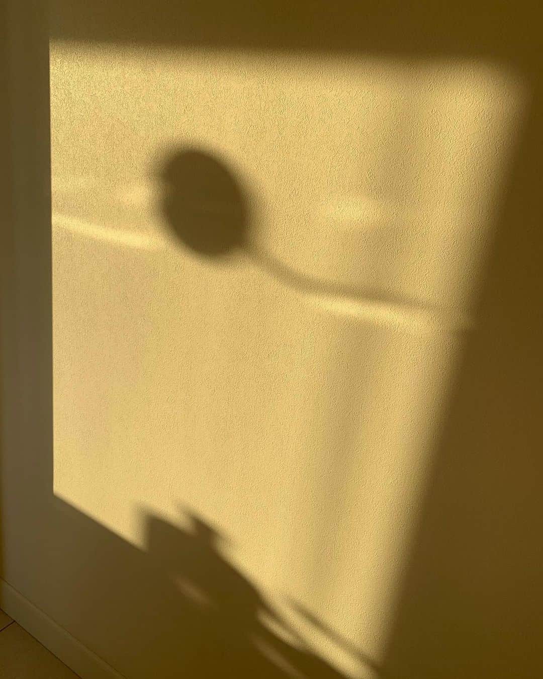 夏木マリさんのインスタグラム写真 - (夏木マリInstagram)「ーーーInstant artーーー  #instant #art #wall #shadow #morning」11月11日 7時02分 - mari_natsuki