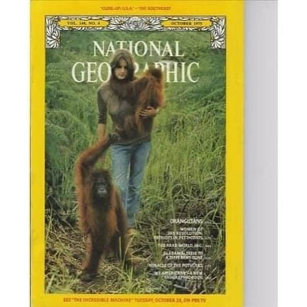 OFI Australiaさんのインスタグラム写真 - (OFI AustraliaInstagram)「As OFI's Orangutan Awareness Week comes to a close, a salute with deep gratitude to the orangutan #FirstResponder ⁦Dr. Birute Mary Galdikas. Everything we now know about orangutans started with Dr Galdikas, pioneer and OFI's Founder and President. #drbirute #orangutanawarenessweek  ______________________________ 🦧 OFIA Founder: Kobe Steele kobe@ofiaustralia.com  OFIA Patron: Dr Birute Galdikas @drbirute @orangutanfoundationintl @orangutan.canada www.orangutanfoundation.org.au 🦧 🧡 🦧 #orangutan #orphan #rescue #rehabilitate #release #BornToBeWild #Borneo #Indonesia #CampLeakey #saveorangutans #sayNOtopalmoil #palmoil #deforestation #destruction #rainforest #environment #nature #instanature #endangeredspecies #criticallyendangered #wildlife #orangutanfoundationintl #ofi #ofiaustralia #FosterAnOrangutan」11月11日 7時27分 - ofi_australia