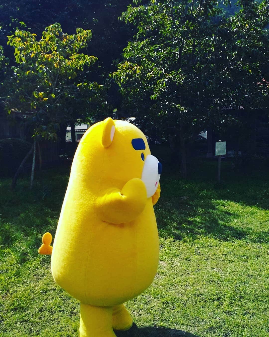 東海テレビ公式キャラクター「イッチー」さんのインスタグラム写真 - (東海テレビ公式キャラクター「イッチー」Instagram)「おはようございます☀️きょうは11月11日で1が並んでるので、勝手にイッチーの日🙌🎉💓 #イッチー#東海テレビ#名古屋#キャラクター#妖精#tv#nagoya#japan#enjoy#fairy」11月11日 7時56分 - icchy_tokaitv