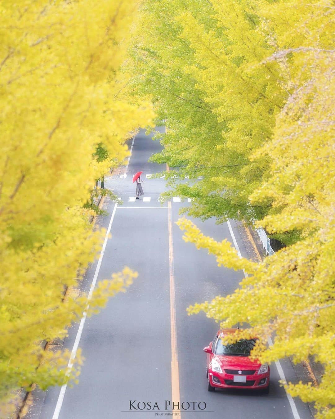 コサさんのインスタグラム写真 - (コサInstagram)「現地に到着するとカメラマンがいっぱい😧  やっぱり人気ポイントですね〜 少し時間を開けてから行くとガラガラでした😆 そして、素晴らしいタイミングで赤い車が来てくれました‼️ ※合成じゃないです . Location:奈良 Nara / Japan🇯🇵 Date:2020年11月 . #天理 #わたしは奈良派 #jalan_kouyou2020 #はなまっぷ #銀杏 #銀杏並木 #広がり同盟メンバー #Japan_Daytime_View #LBJ_Legend #japan_of_insta #art_of_japan_ #tokyocameraclub #dpj_member #team_jp_ #IG_PHOS #photo_jpn #ptk_japan #pt_life_ #bestjapanpics #Lovers_Nippon #YourShotPhotographer #light_nikon #sorakataphoto #nipponpic_member #special_spot_legend #s_shot #bestphoto_japan #Rox_Captures #kf_gallery_vip #1x_japan」11月11日 8時11分 - kosa_photo