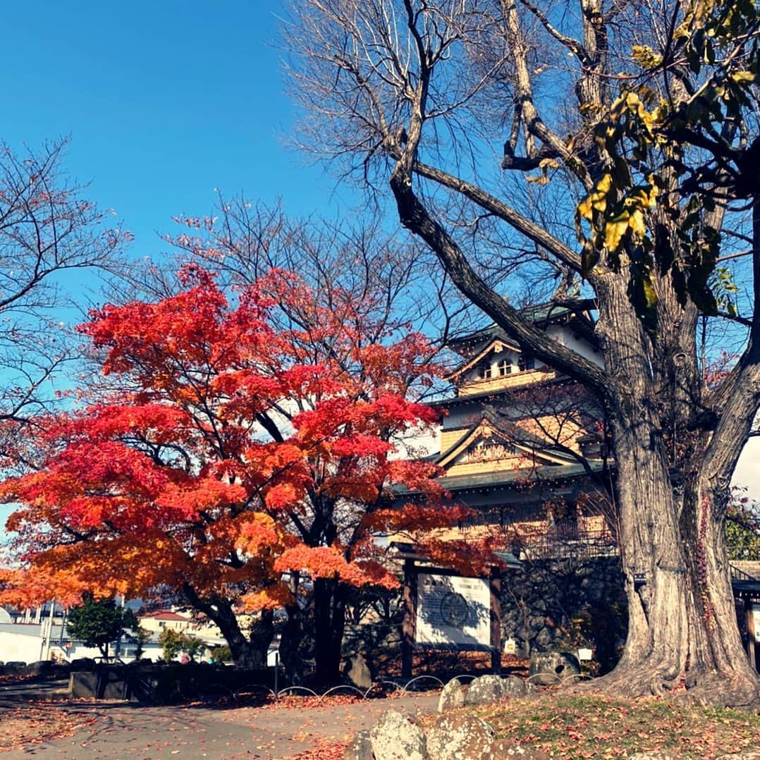 早見優さんのインスタグラム写真 - (早見優Instagram)「Beautiful Nagano❤️ 紅葉が美しい。  #cookaroundjapan #nhkworld #nagano #japan」11月11日 13時39分 - yuyuhayami
