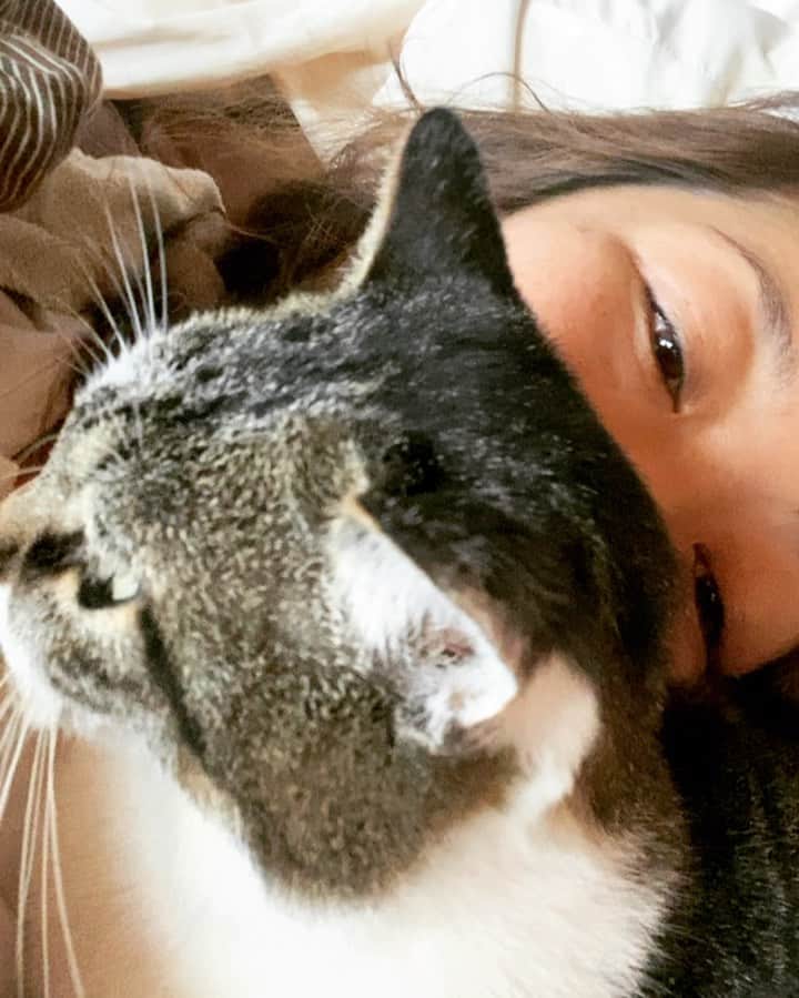 三谷晶子のインスタグラム：「インスタにしばらく猫写真をあげなかったら久しぶりに会う友人から「あの……三谷さんしばらくミルちゃんの写真あげないから、もしかしたら亡くなったのかと……」と不安げに聞かれたので、これからは安否確認的な意味も兼ねて、うちの猫（名前：ミル　性別：女性　年齢：5歳）の写真をちょくちょくあげようと思っている。  My cat.  The name is Mill.  Morning to spend with a cat.  #加計呂麻島　 #kakeromaisland  #猫　 #ねこ #ネコ #ねこすたぐらむ  #cat  #catsofinstagram  #catstagram  #catlife  #catlover  #cats  #catlovers  #cats_of_instagram  #catphoto  #catmovie  #japanesecat  #japanesecats  #japanesegirl  #japan_of_insta  #japanese  #japan  #islandlife  #islandgirl  #island  #islandcat  #islandcats」