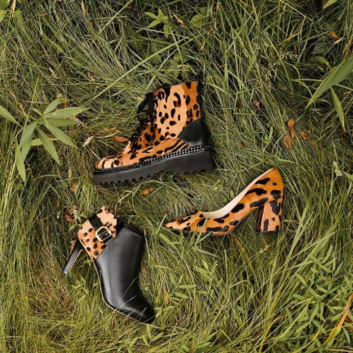 のインスタグラム：「Spotted: the Animal-Print Edit. Available now at Dillard’s. #vincecamuto」