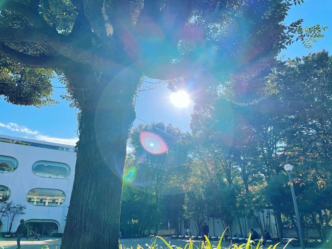 大和未知さんのインスタグラム写真 - (大和未知Instagram)「#おはよう  ベランダから見える木々が黄色や赤に紅葉してきました🍁  こんな高層まで育っている長寿の木、すごいです、☺︎  毎朝、太陽を浴びて🌞散歩。  都庁の隣町に住んでいた３ヶ月前には  なかった日差しのありがたさ。  太陽を浴びて、あのブロッコリーも育ってきました☺︎  Nさん土のアドバイザーありがとうございます♪  #太陽が好き  とにかく #日当たり重要 家もカフェも #太陽が好きな人と繋がりたい  #太陽がないと生きていけない  #太陽好きな人集まれ 語りましょう♪」11月11日 9時28分 - michi.minnashiawase