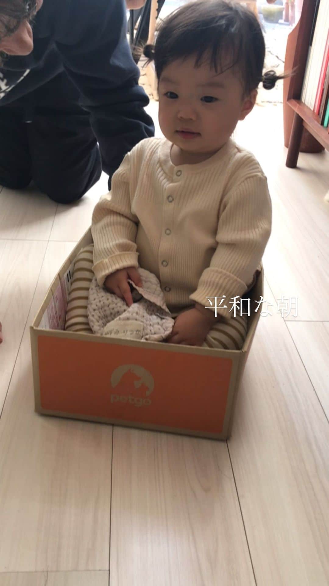 濱中鮎子のインスタグラム：「平和な朝🕊🕊🕊」
