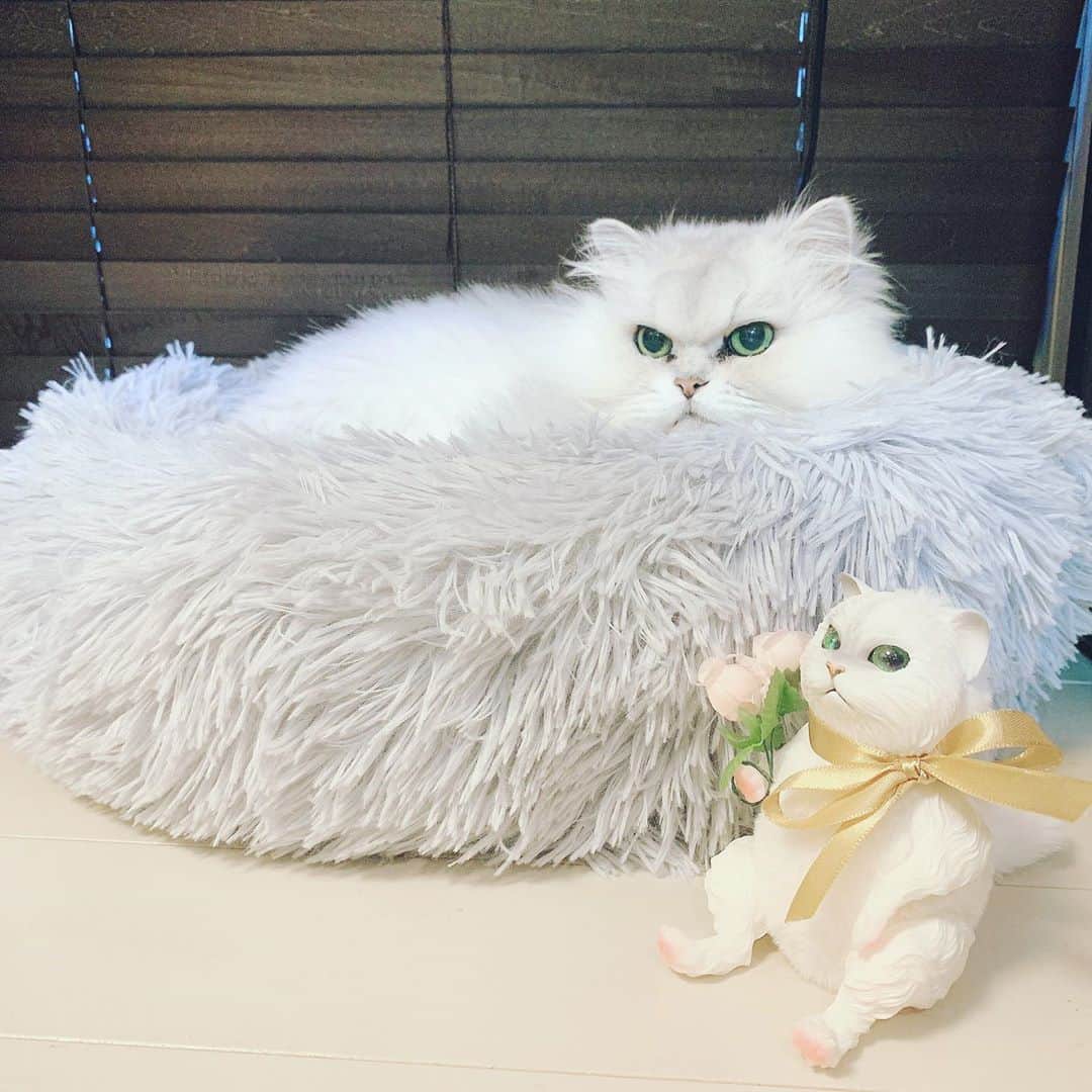 峰なゆかのインスタグラム