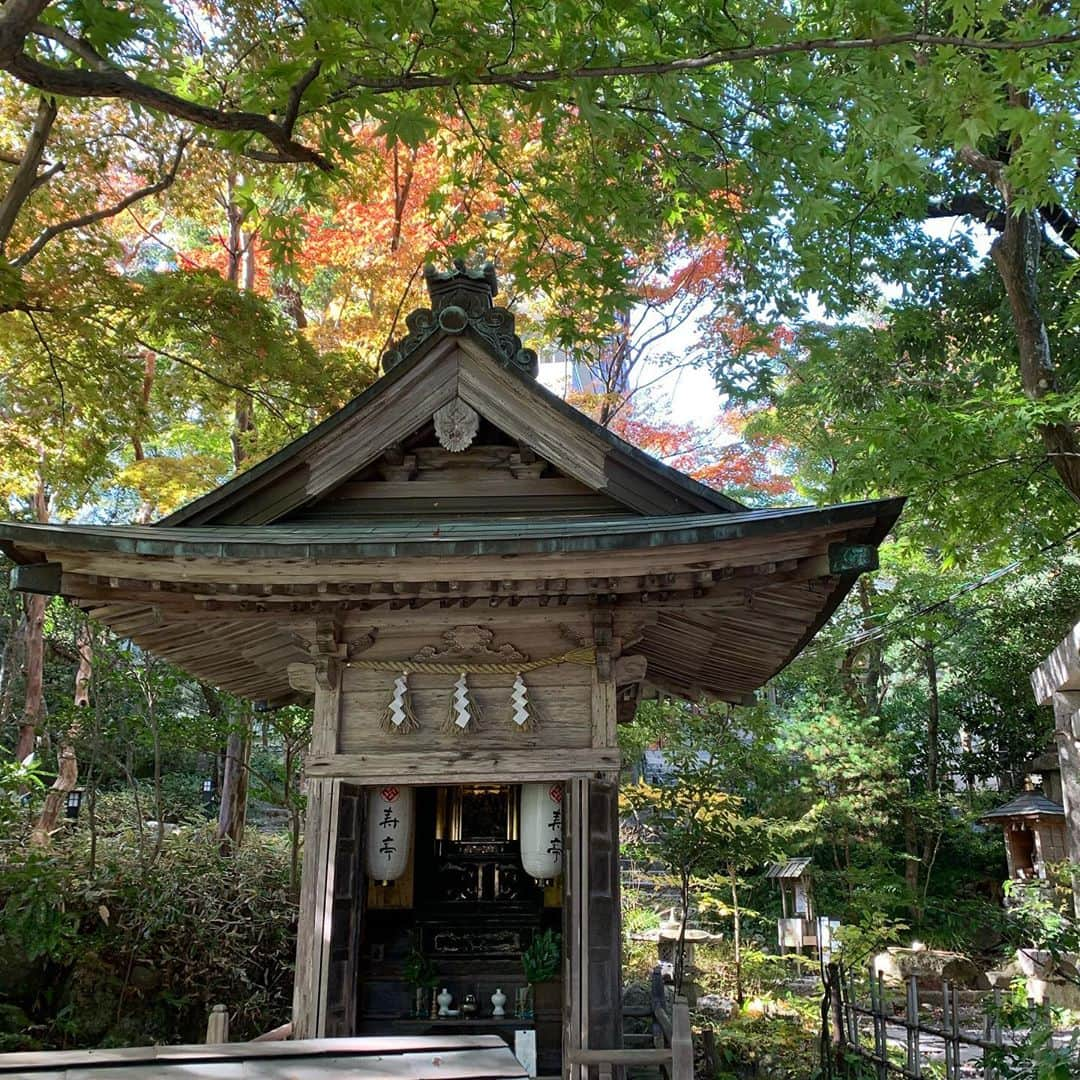 湯の山温泉 寿亭|Ryokan KOTOBUKITEIのインスタグラム