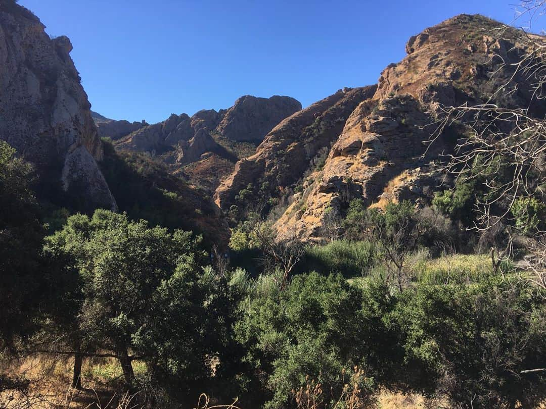 チャド・ロウさんのインスタグラム写真 - (チャド・ロウInstagram)「Happy Birthday @santamonicamountainsnps!!  We are so fortunate to have you to explore and enjoy!!」11月11日 10時52分 - ichadlowe