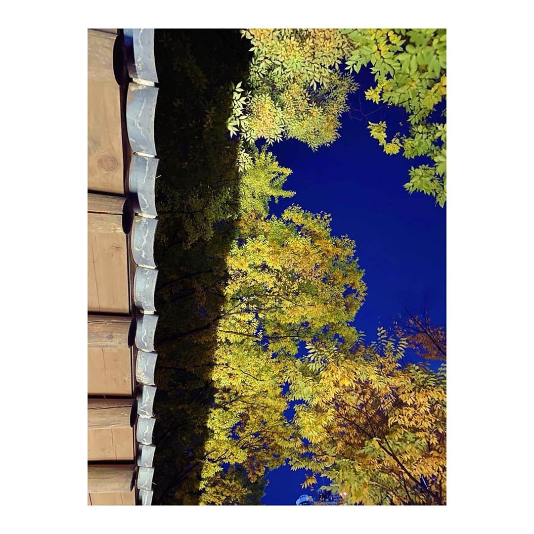 ハン・ヒョジュさんのインスタグラム写真 - (ハン・ヒョジュInstagram)「안녕, 가을.  Fall, 2020.🇰🇷」11月11日 11時11分 - hanhyojoo222