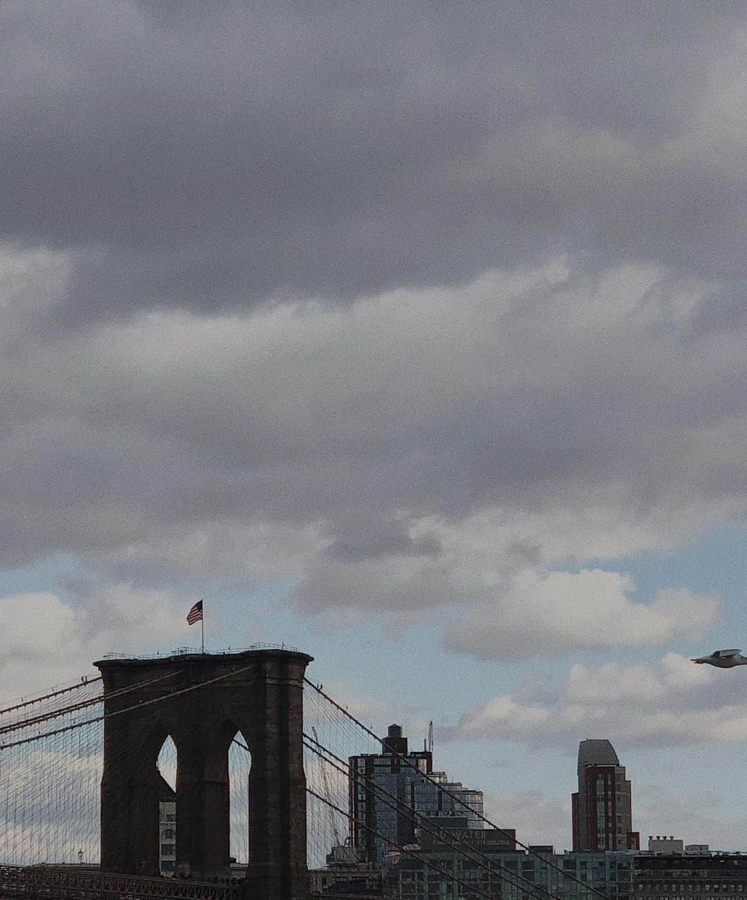 アシュリさんのインスタグラム写真 - (アシュリInstagram)「I miss New York 💔 central park, good bagels, cheap coffee, GARLIC KNOTS, and most of all just being home w/ family 🥺」11月11日 11時45分 - ashleybchoi