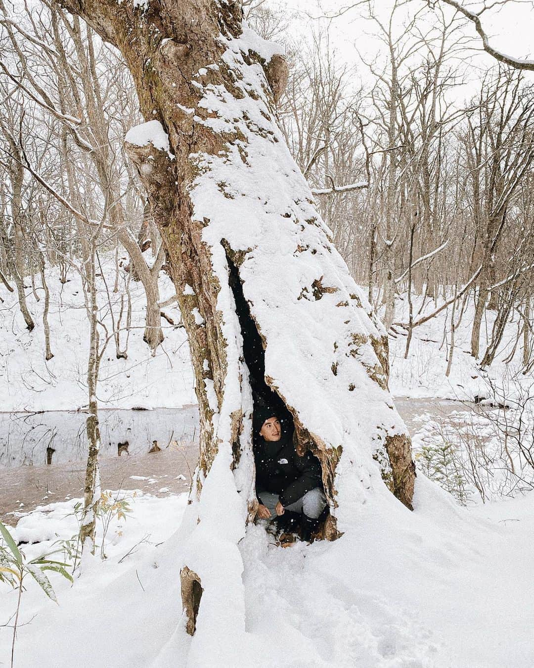 三浦大地さんのインスタグラム写真 - (三浦大地Instagram)「この冬の初雪は青森で。  雪好き。  #大地球散歩 #青森 #蔦沼」11月11日 22時51分 - daichi_1127