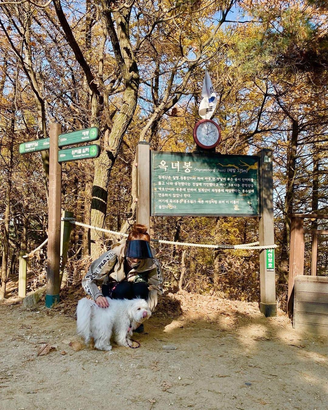 キム・ジェギョン さんのインスタグラム写真 - (キム・ジェギョン Instagram)「🍂🍁🍂🍁🍂🍁」11月11日 22時51分 - _kimjaekyung_