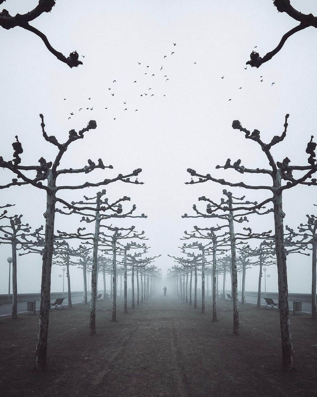 Thomas Kakarekoのインスタグラム：「ghost town  #tb to that day when Düsseldorf disappeared under a heavy layer of fog. Still one of the most incredible things I ever got to photograph.  #düsseldorf」