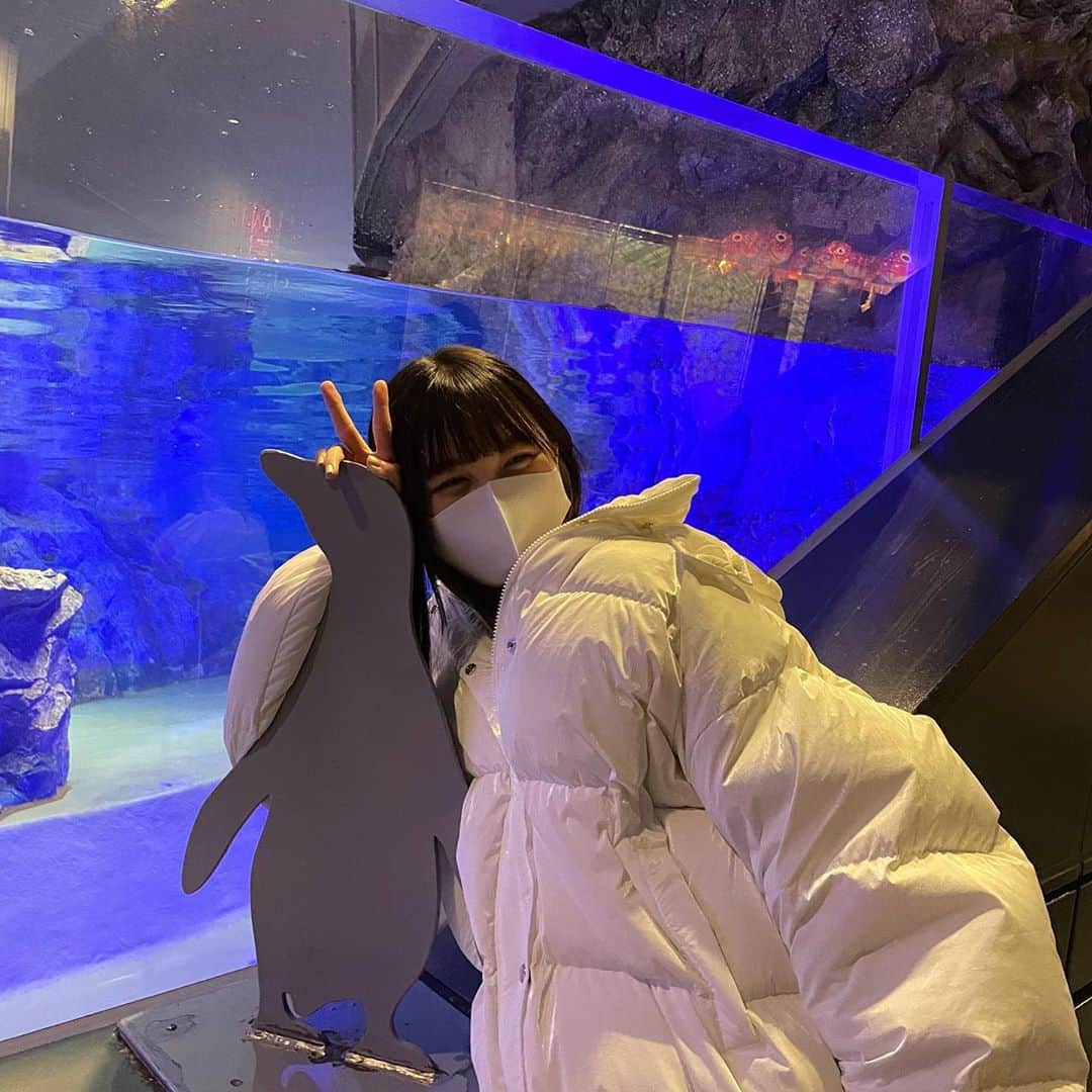 伊藤美優のインスタグラム：「. 友情の一方通行、？ 👩🏻→💛→🐧  #すみだ水族館」