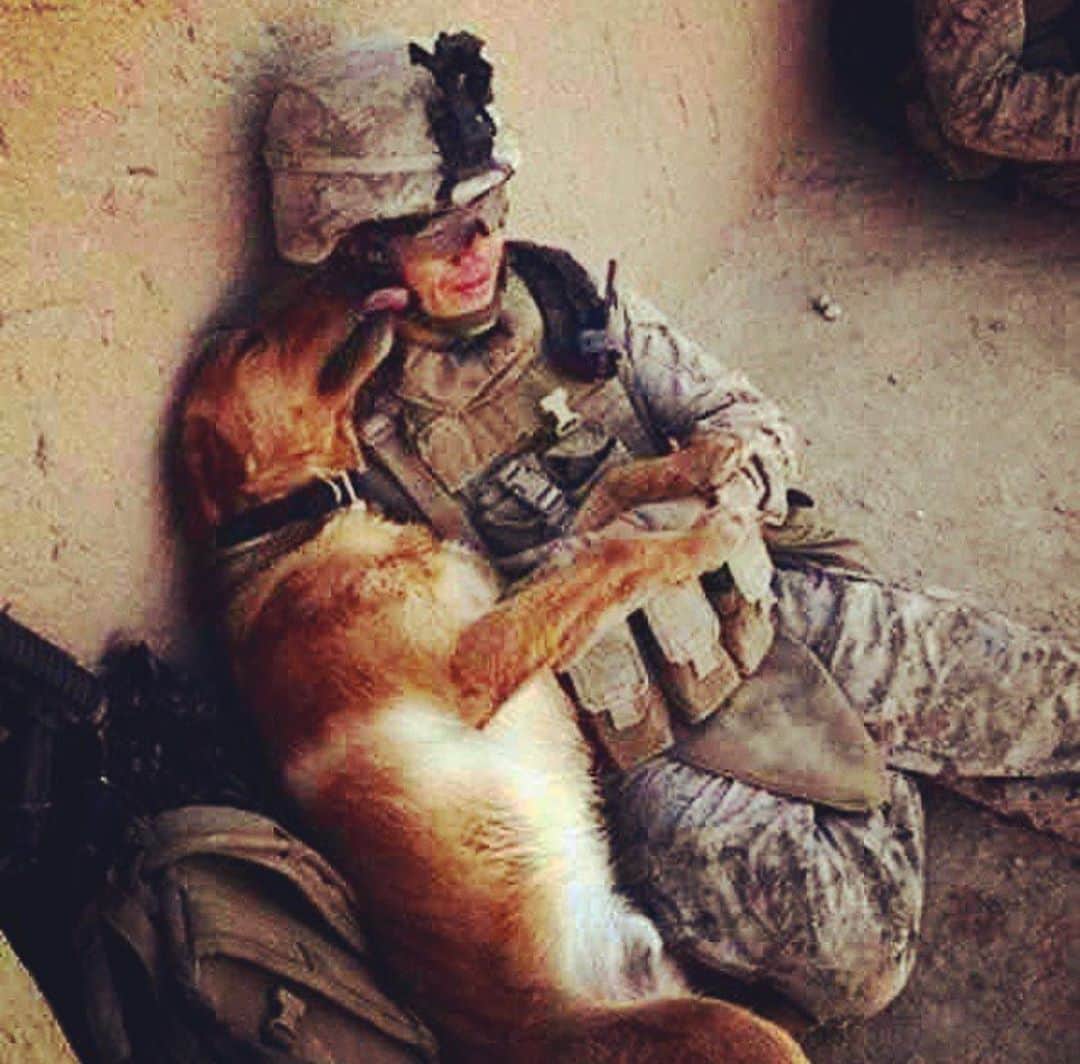 イヴァンカ・トランプのインスタグラム：「There is no greater debt of gratitude we owe as Americans than to those who have worn the uniform of the U.S. throughout history and fought for the freedoms we enjoy.  May God bless & care for all our veterans, those still serving in our military & their families! #VeteransDay 🇺🇸🇺🇸🇺🇸」