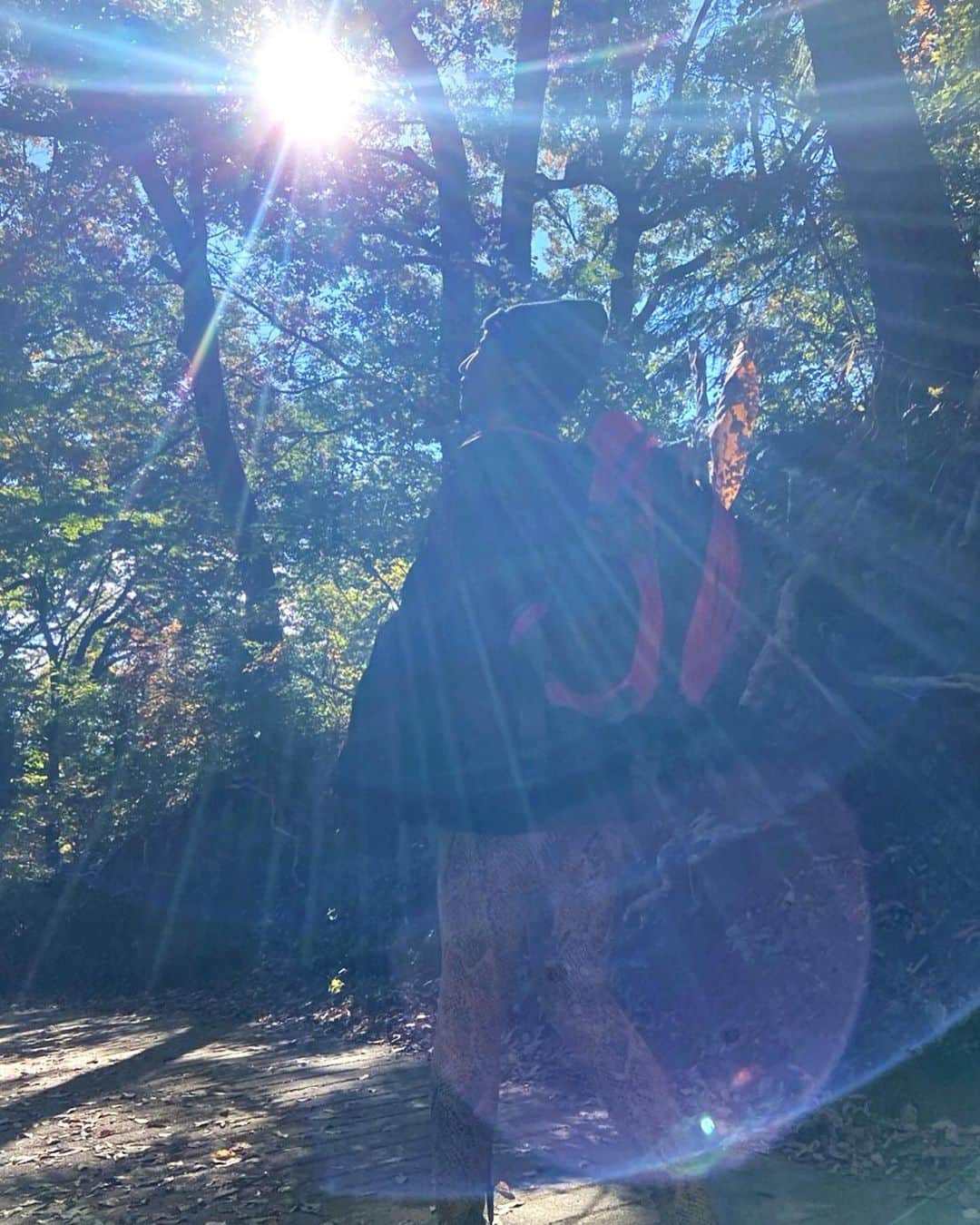 咲希あかねのインスタグラム：「#高尾山   太陽の光、美味しい空気。 緑に癒される♪ #もののけ姫 #こだま が出てきそう♡  屋久島も行ってみたいな♪ #ジブラー   #山登り #登山 #山 #木 #森 #パワースポット」