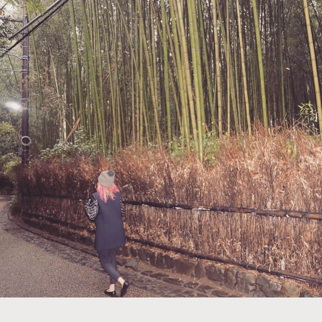 キャット・デルーナさんのインスタグラム写真 - (キャット・デルーナInstagram)「#tb woke up at 6AM, sprayed my hair pink and went to get lost in the Bamboo forest of Kyoto,Japan before getting on the train back to do a show in Tokyo. That’s a typical spontaneous morning with me😂! It was rejuvenating though! Swipe left to see the forest! #ilovejapan #kyoto #japan #nihongo #iswearimjapanese #kyotobambooforest #nottoolongago」11月11日 22時00分 - katdeluna