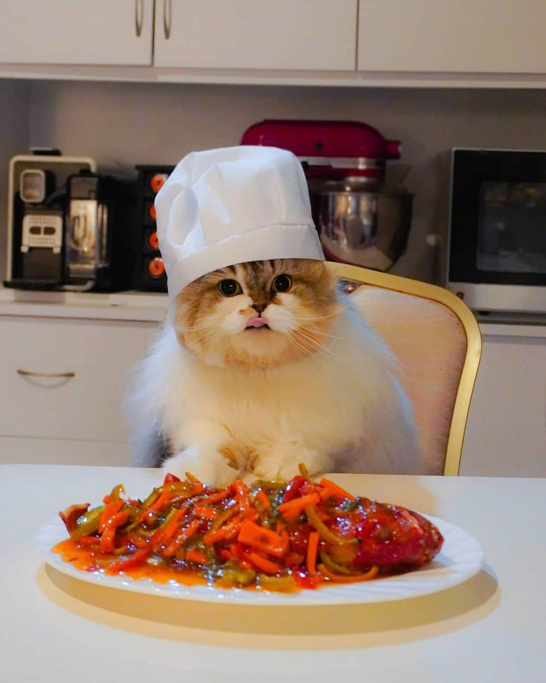 Kenshin & Chloeyさんのインスタグラム写真 - (Kenshin & ChloeyInstagram)「<swipe> 👨‍🍳Chonky Chef now serving - Yummylicious Sweet and Sour Chili Crispy Fish with Kale 😋♥️ #redgrouperfish#catchef#chonkycat#homecookedmeals」11月11日 22時00分 - kitty.chloeykenshin