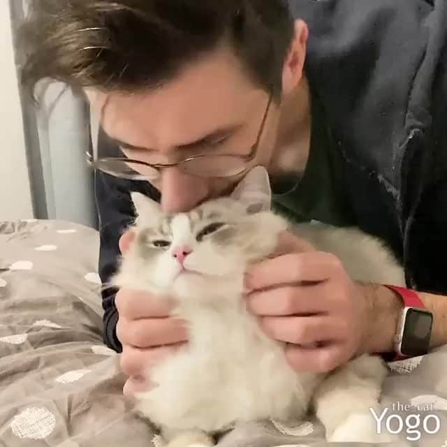 Aww Clubのインスタグラム