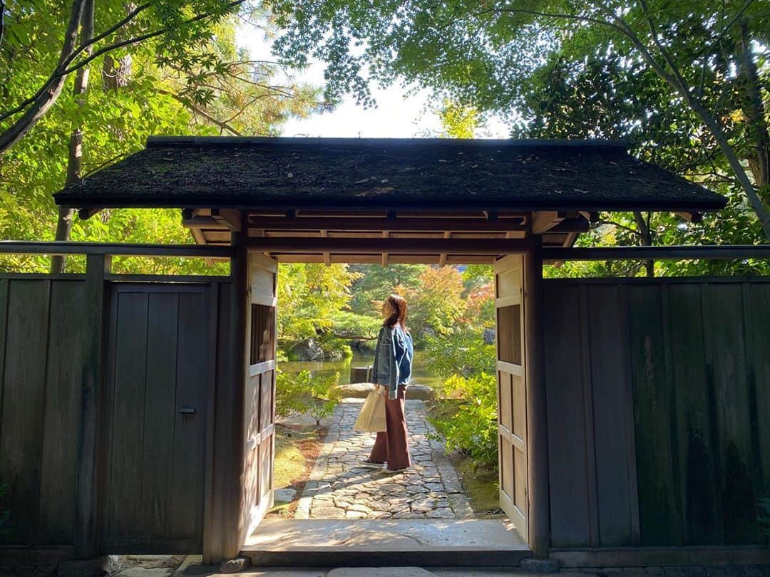 崎本ゆかりさんのインスタグラム写真 - (崎本ゆかりInstagram)「🌿  #癒し  #寒川神社 #神嶽山神苑 #1111」11月11日 21時59分 - yukariiiin5