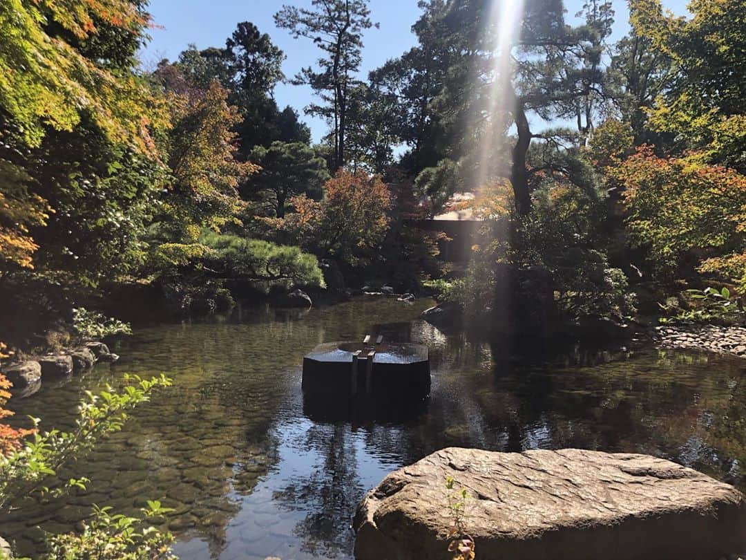 崎本ゆかりさんのインスタグラム写真 - (崎本ゆかりInstagram)「🌿  #癒し  #寒川神社 #神嶽山神苑 #1111」11月11日 21時59分 - yukariiiin5